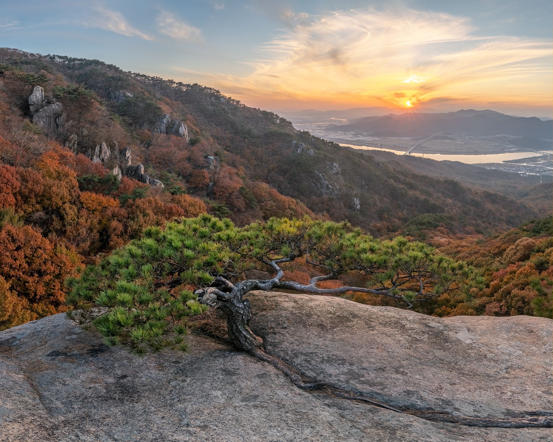 Jaeyoun Ryu фотограф