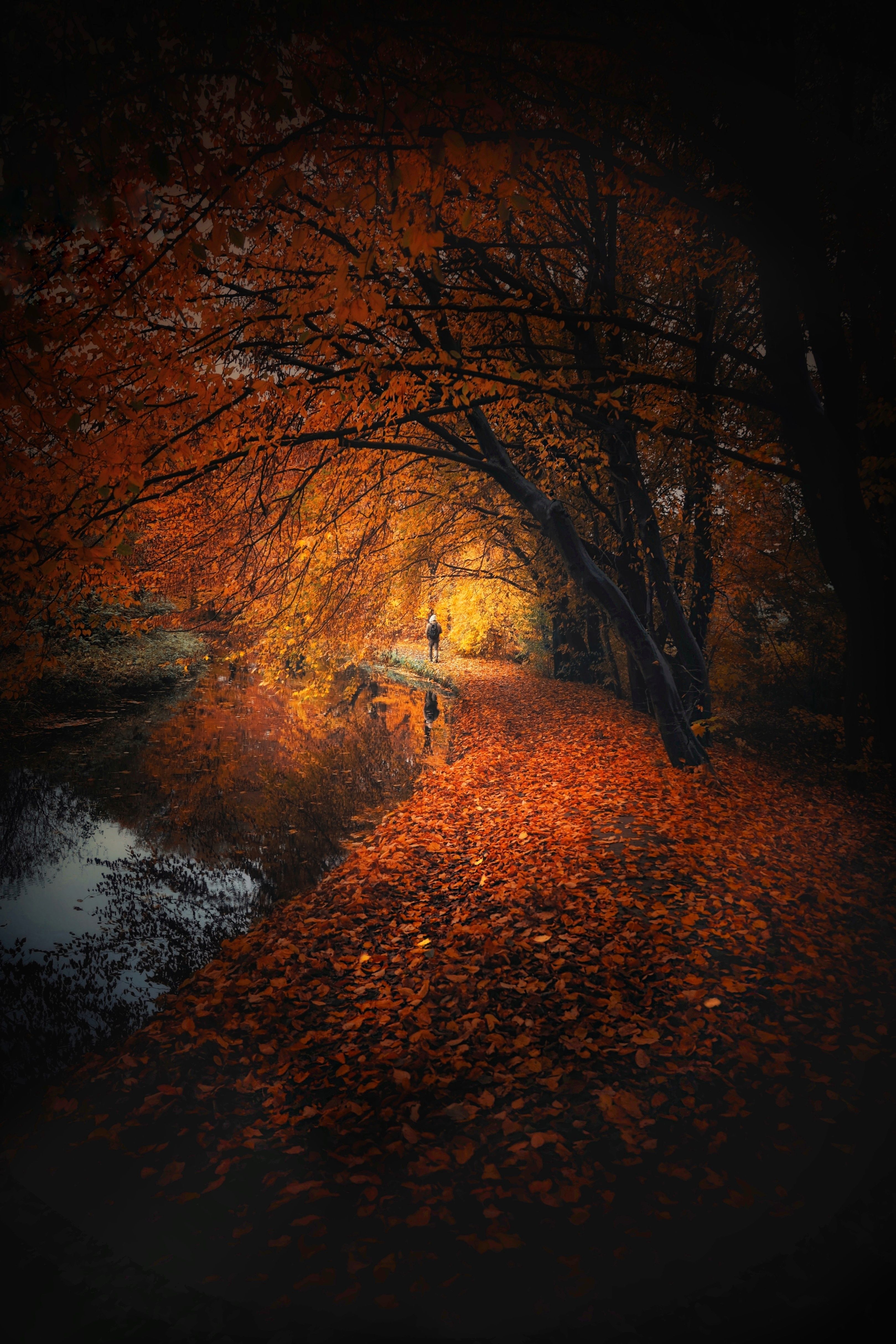 осень,осенние листья,вечер,краски осени, Татьяна Максакова