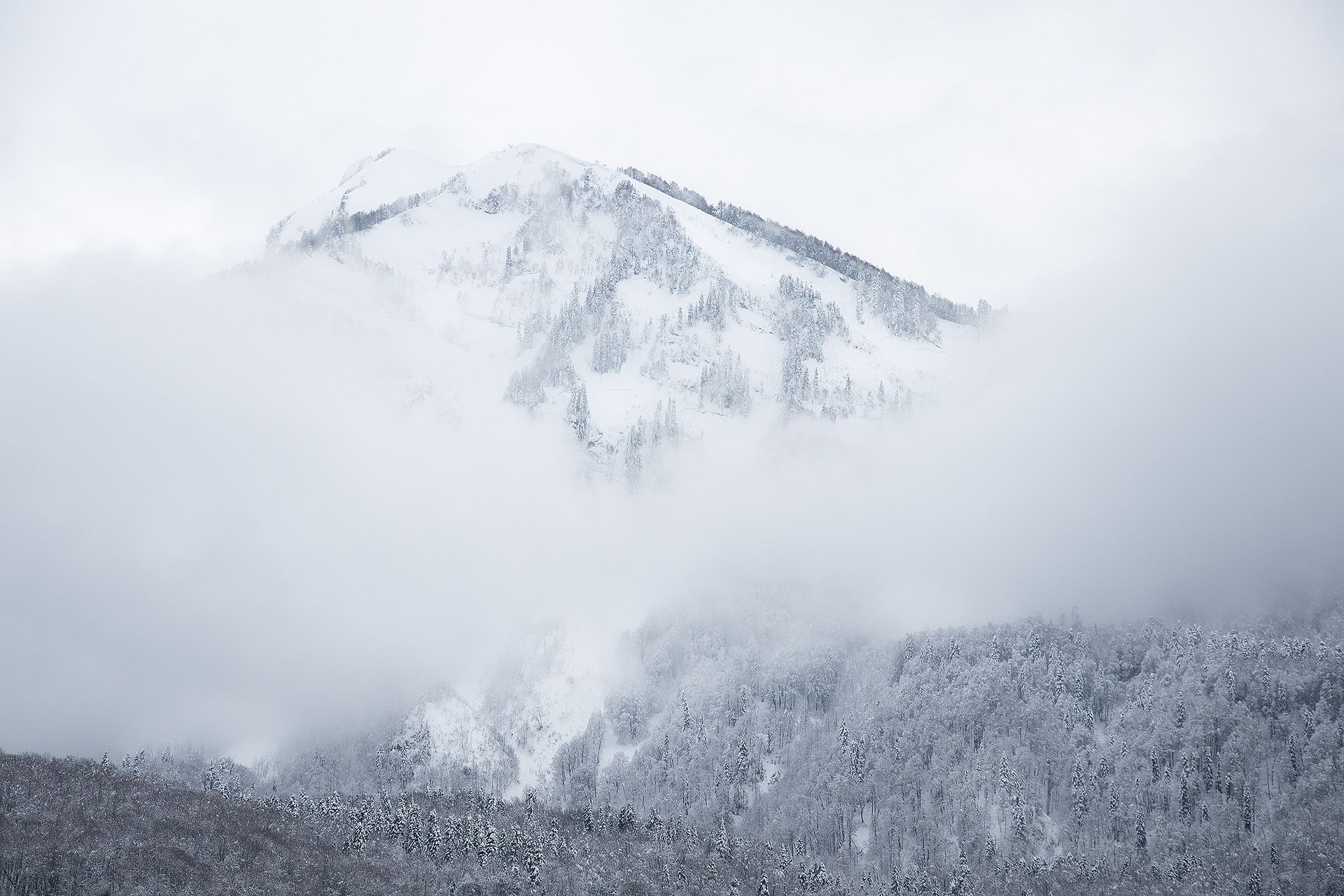 зима, горы, сочи, кавказский хребет, туман, Чавыкина Анастасия