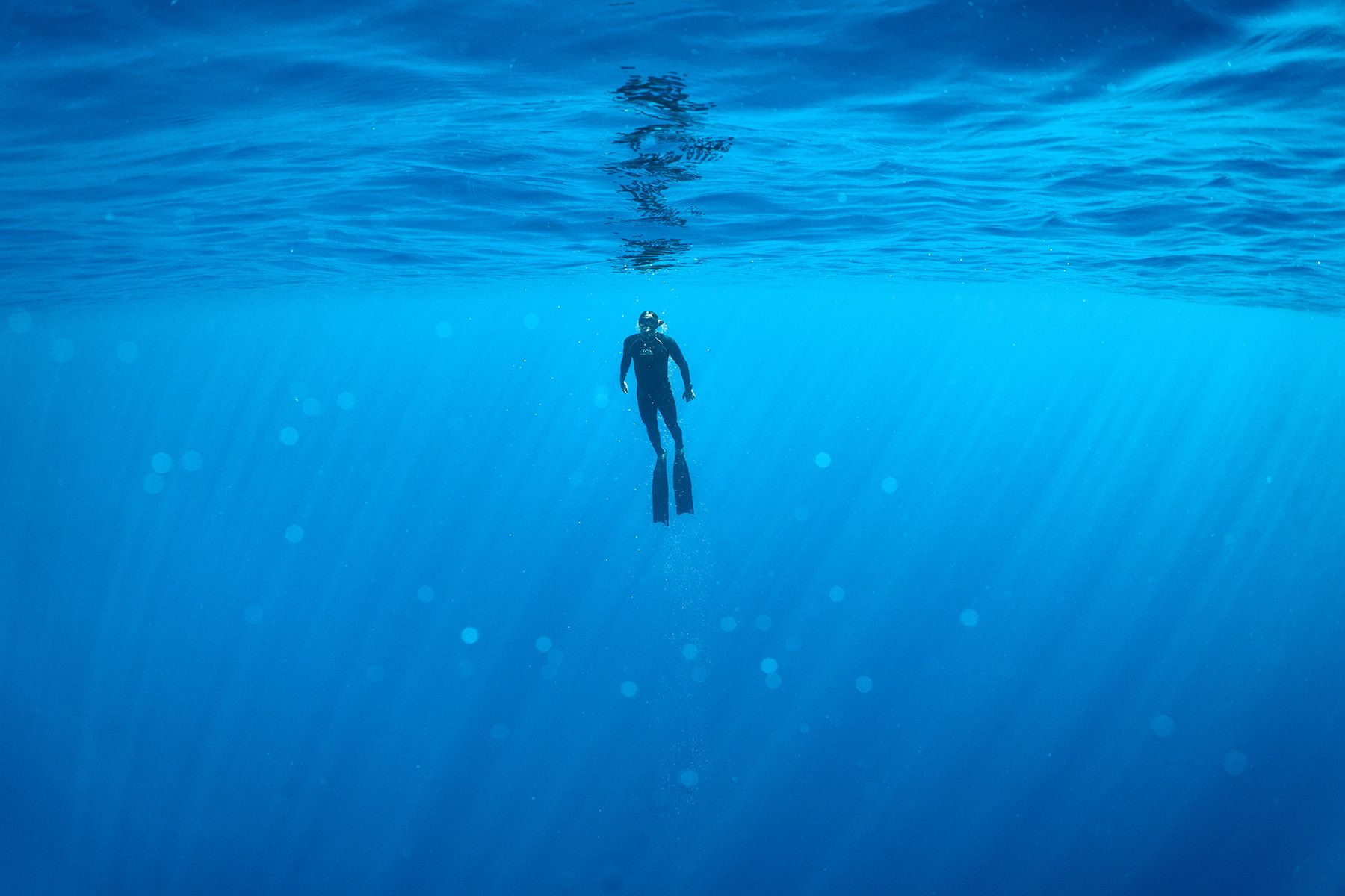 море, дайвинг, подводная фотосъемка, дайвер, фридайвинг., PAVEL PEREPECHAEV