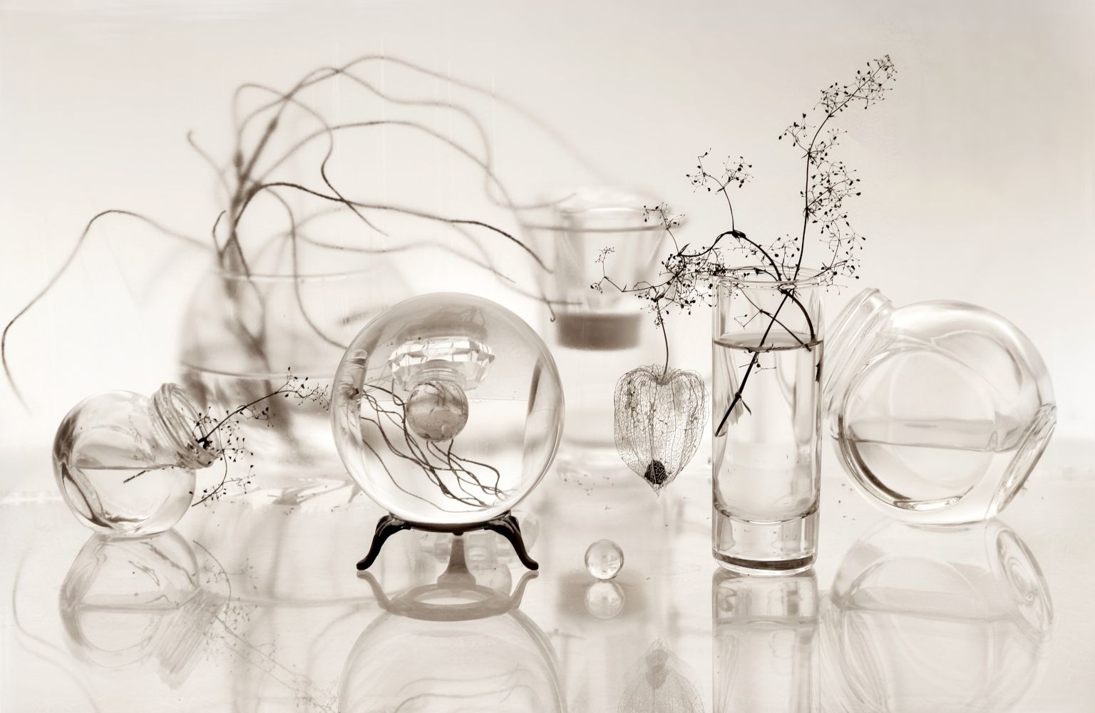 натюрморт, стекло, шар. вазы,  ветка, Шруб (Беляева) Татьяна