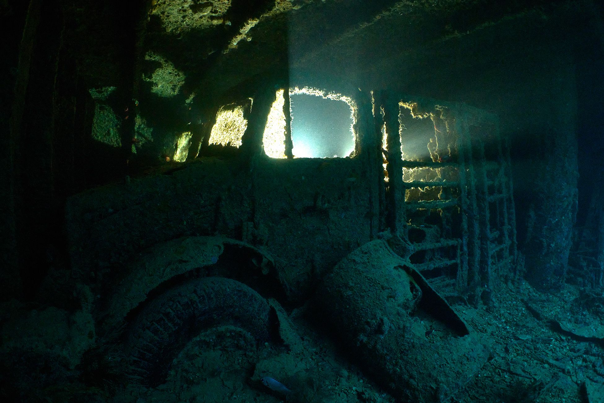 море, дайвинг, подводная фотосъемка, дайвер, рэк, затонувший корабль, тистлигорм, PAVEL PEREPECHAEV