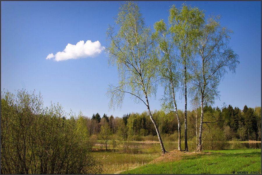 пейзаж, Андрей Житков