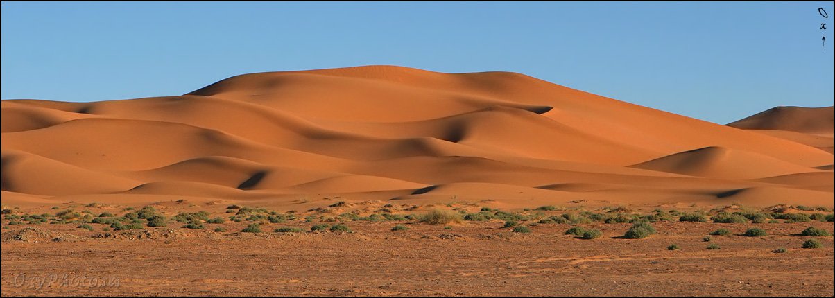 африка, марокко, africa, morocco, maroc, магриб, песок, дюны, пустыня, сахара, sand, dune, desert, sahara, эрг-шебби, erg-chebbi, merzouga, мерзуга, Оксана Борц