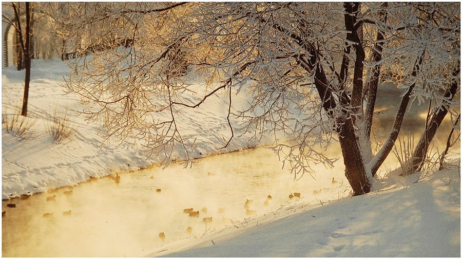 пейзаж, природа, зима, рассвет, река, птицы, aleksey kolotvin