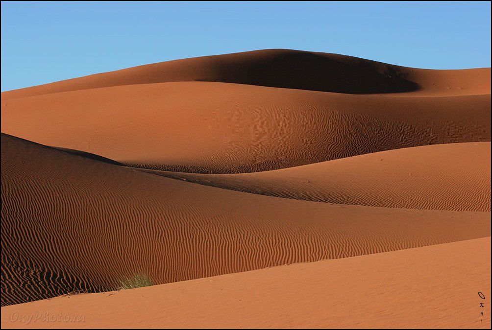 африка, марокко, africa, morocco, maroc, магриб, песок, дюны, пустыня, сахара, sand, dune, desert, sahara, эрг-шебби, erg-chebbi, merzouga, мерзуга, Оксана Борц
