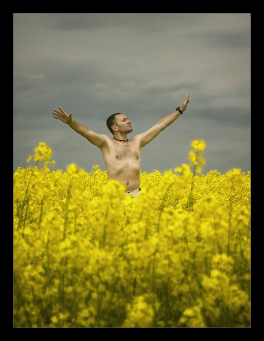 field, flowers, summer, Nadia Romanova