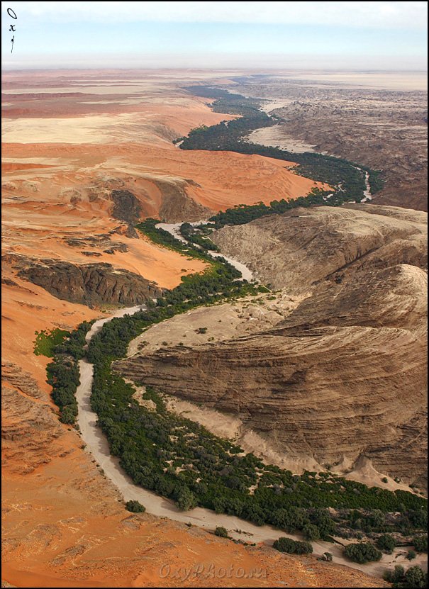 дюны, пустыня намиб, намибия, африка, dunes, namib desert, namibia, africa, Оксана Борц