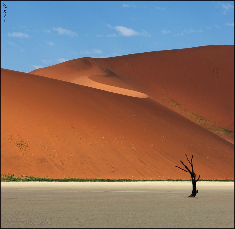 дюны, соссусвлеи, пустыня намиб, намибия, африка, dunes, sossusvlei, namib desert, namibia, africa, Оксана Борц