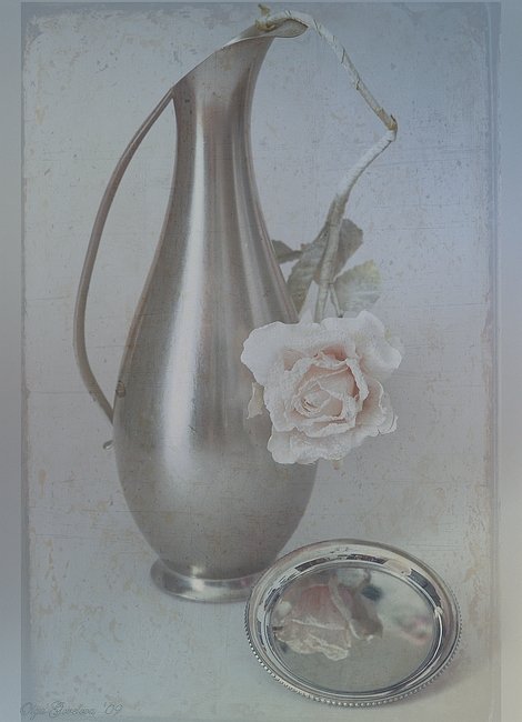 фото, натюрморт, цветок, Ольга Горелова