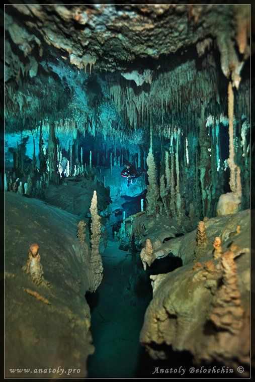 Dream Gate, Анатолий Белощин, Мексика, Подводная пещера, Юкатан, Анатолий Белощин