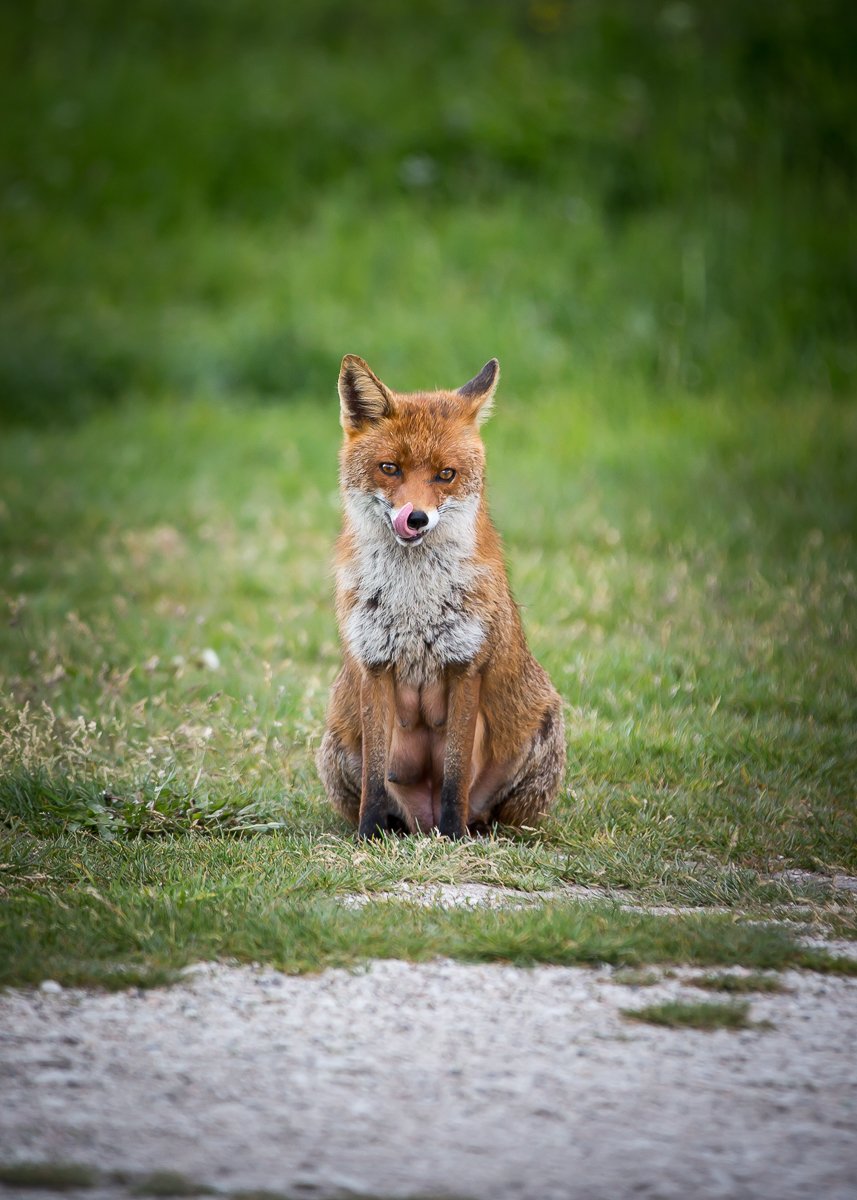 , Лядимов Дмитрий