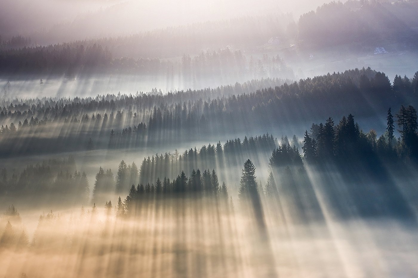 Fog, Mountains, Mountains Beskids, Rays, Boguslaw Strempel