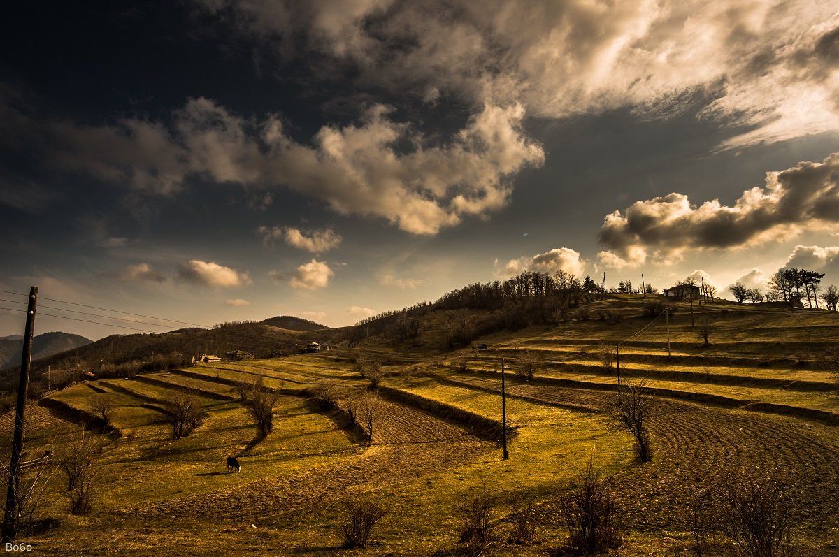 Bulgaria, Clouds, Cows, Field, Green, Landscape, Levels, Rhodope, Terraces, Warm, Boris Preslavski