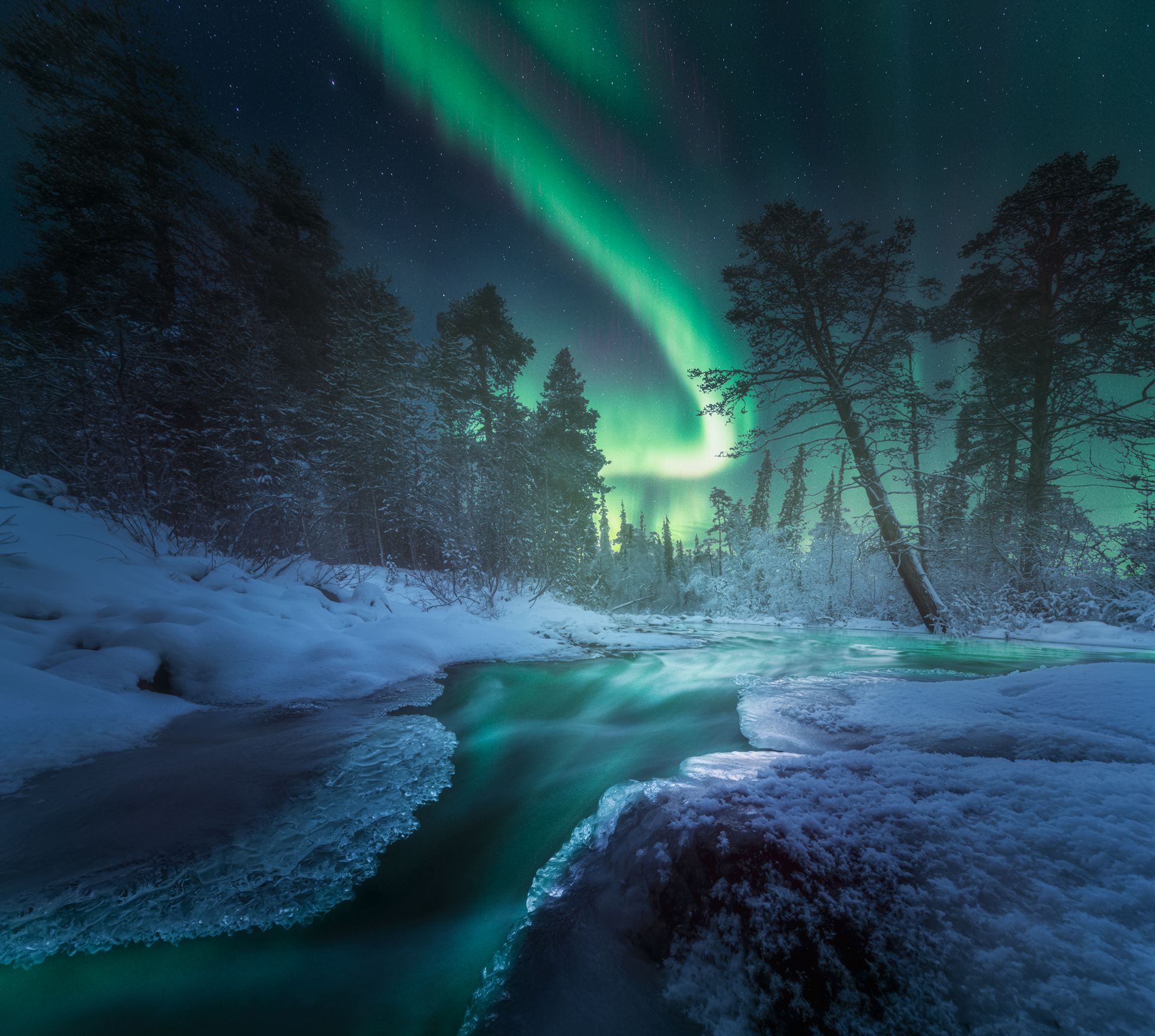 кольский полуостров,кольский,зима,winter,snow,kola peninsula,forest,aurora borealis,  Aleksey R.