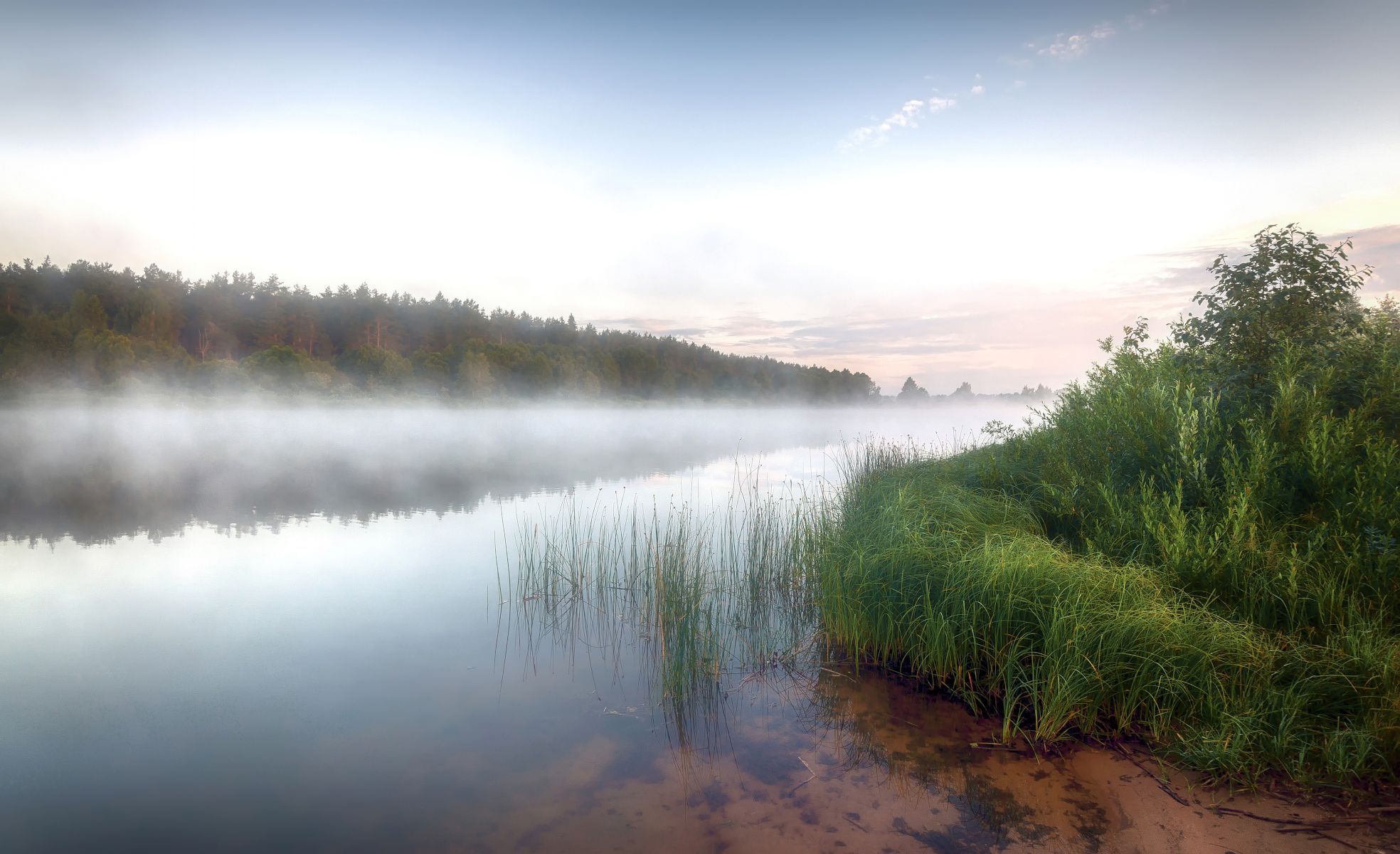 лето, река, лес, туман, рассвет., Сергей Аникин