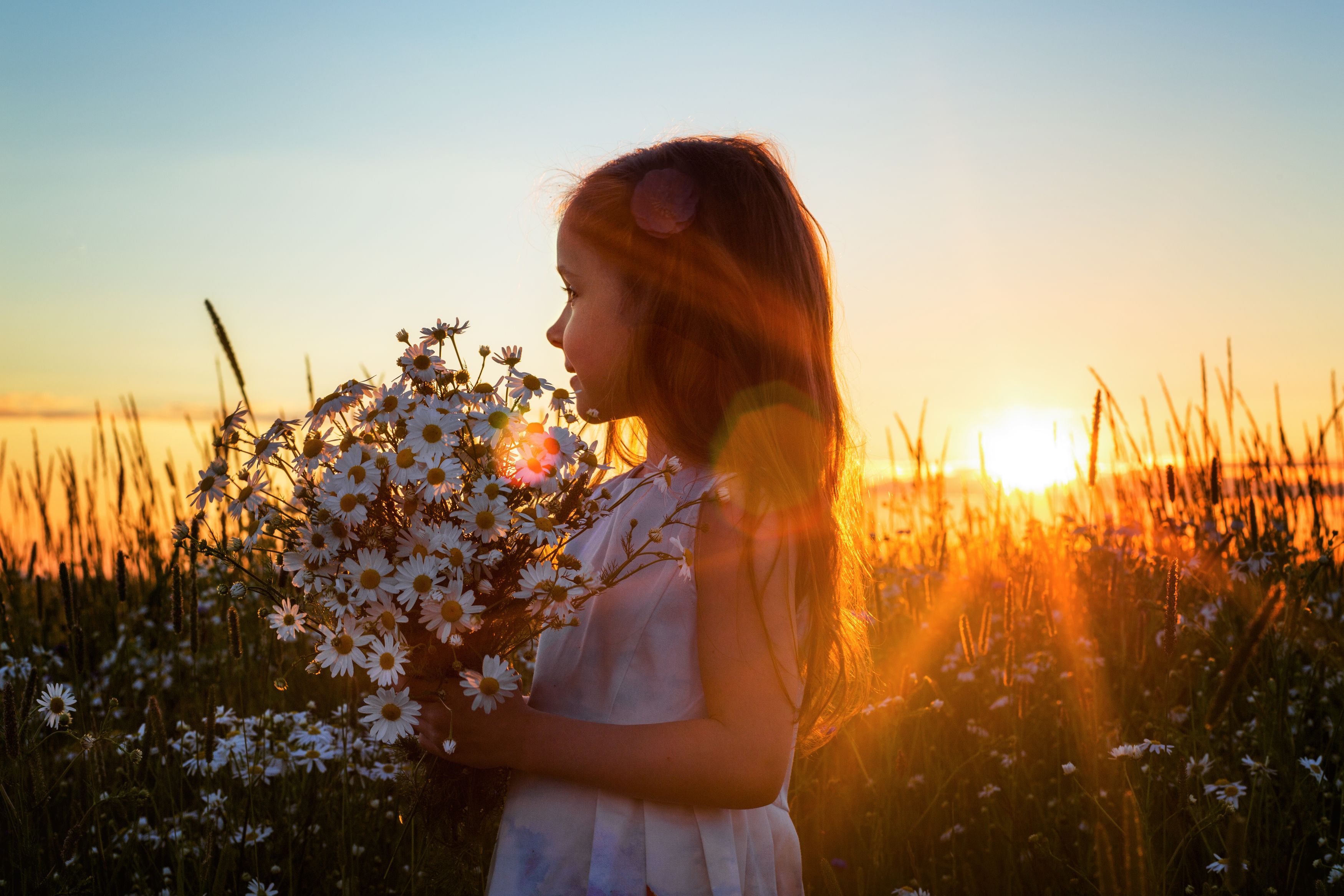 семья дети закат лето ромашки цветы девочка, Аванесова Мария