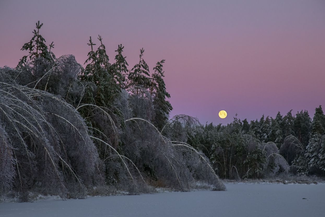 утро мороз лед рассвет серково наледь луна закат, Дмитрий Алексеев