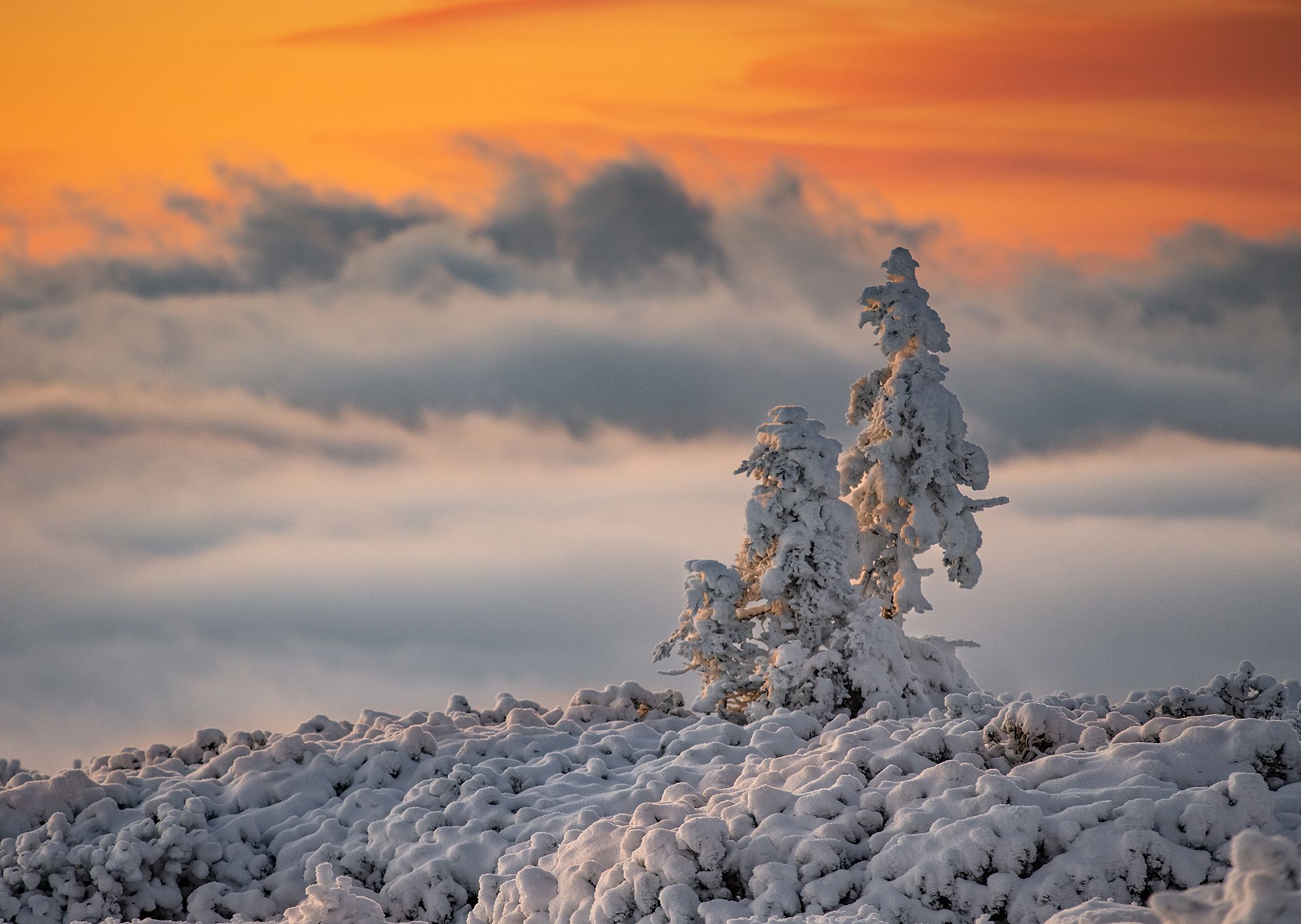 #Karkonosze #National Park #Zima #Snow #Landscape #mountains #góry, Sebastian Jakubowski