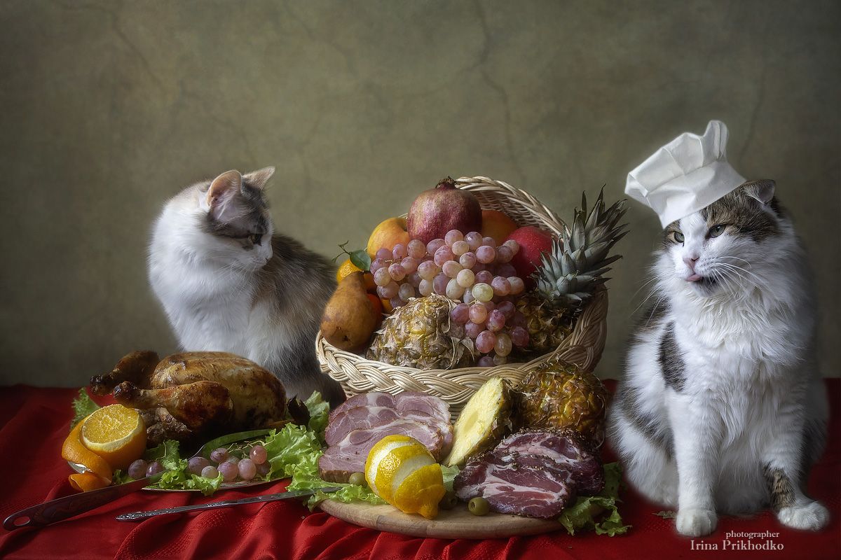 натюрморт, постановочное фото, кошки, домашние питомцы, еда, праздничный стол, Приходько Ирина