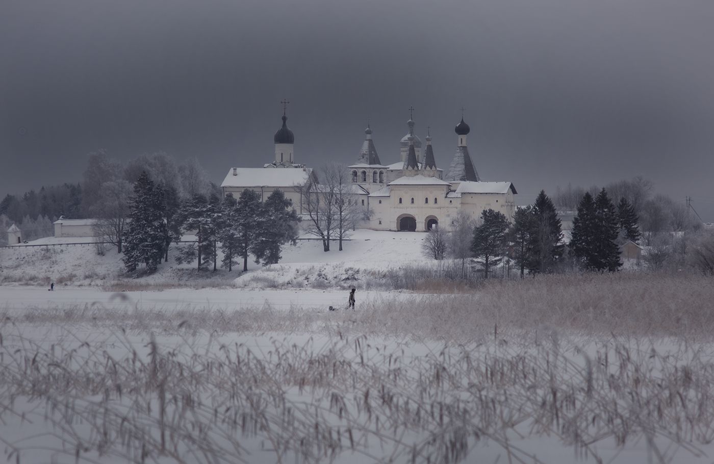 ферапонтово,зима, монастырь, снег, юпитер-21а, Наталия Колтакова
