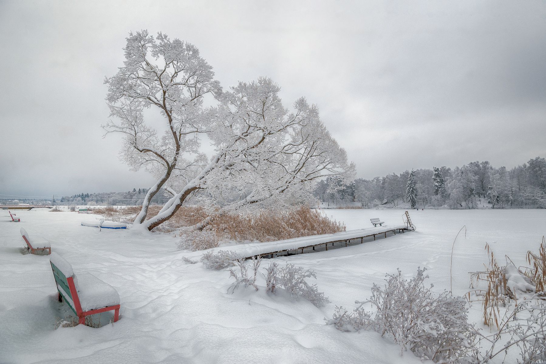 снег, дерево, пирс, скамейки, Сергей Аникин