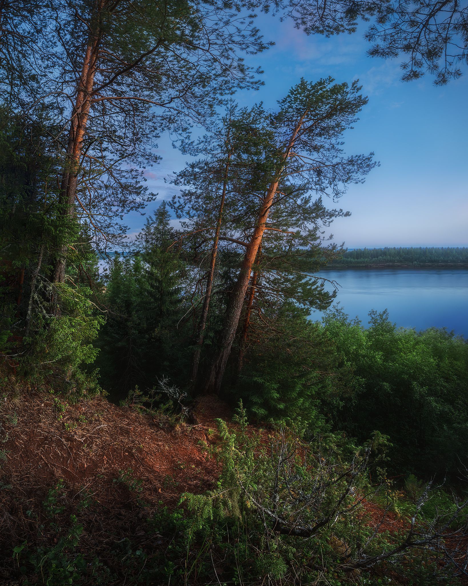 пейзаж, закат, река, лето, landscape, sunset, summer, sky, сосна, тропа, pine, можжевельник, коми, Чаланов Иван