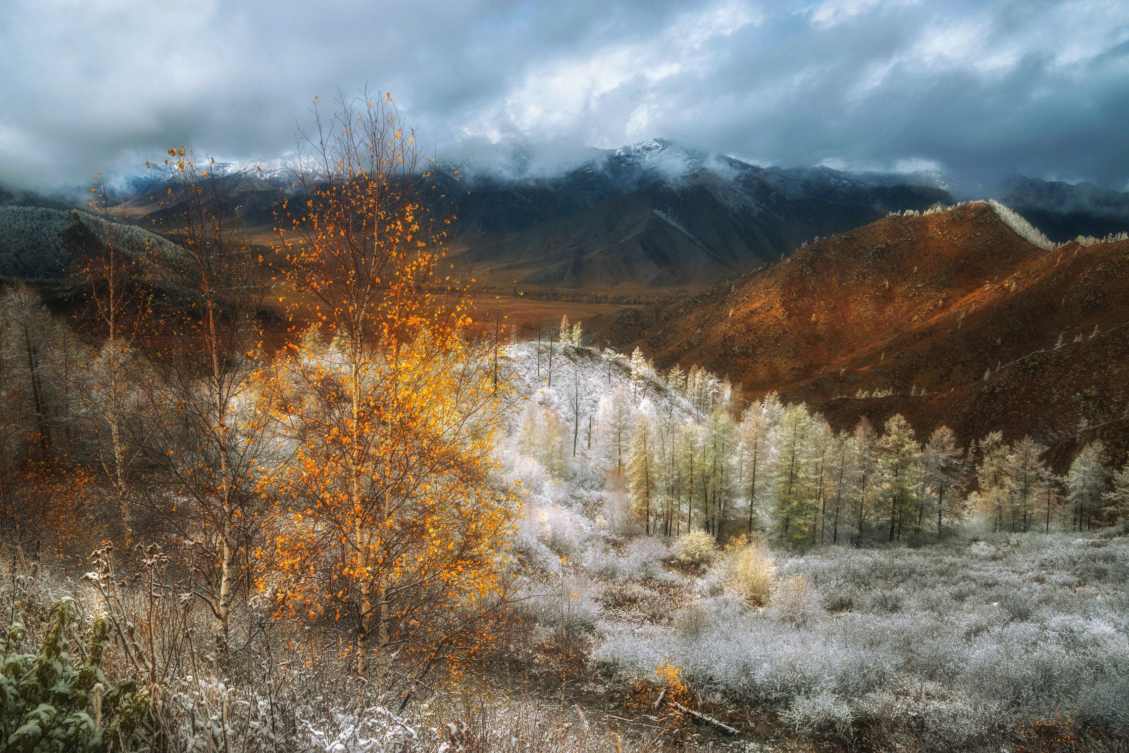 горный алтай,осень,перевал чике-таман, lora_pavlova