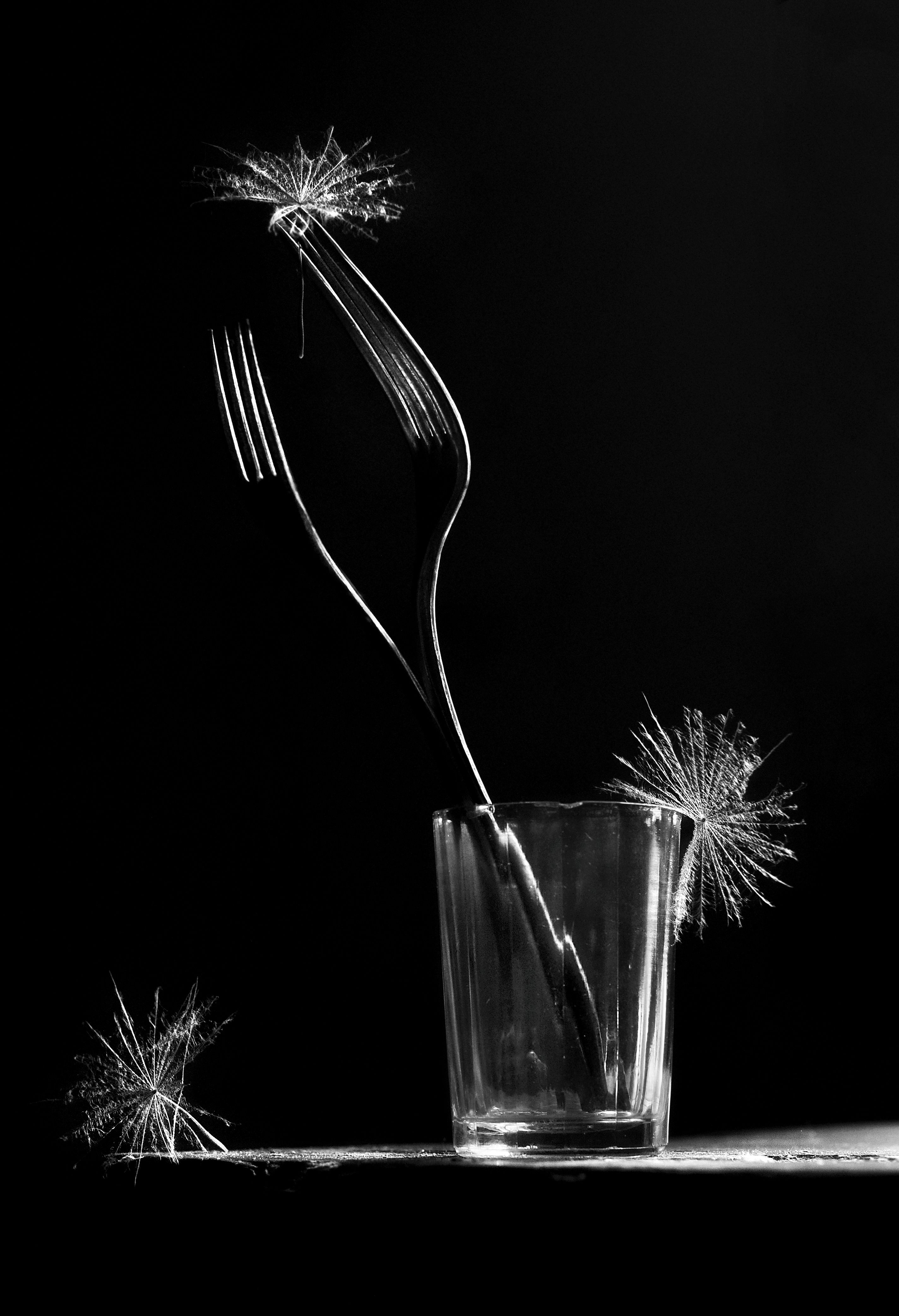 натюрморт, чёрно-белое, вилки, Буглак Инна