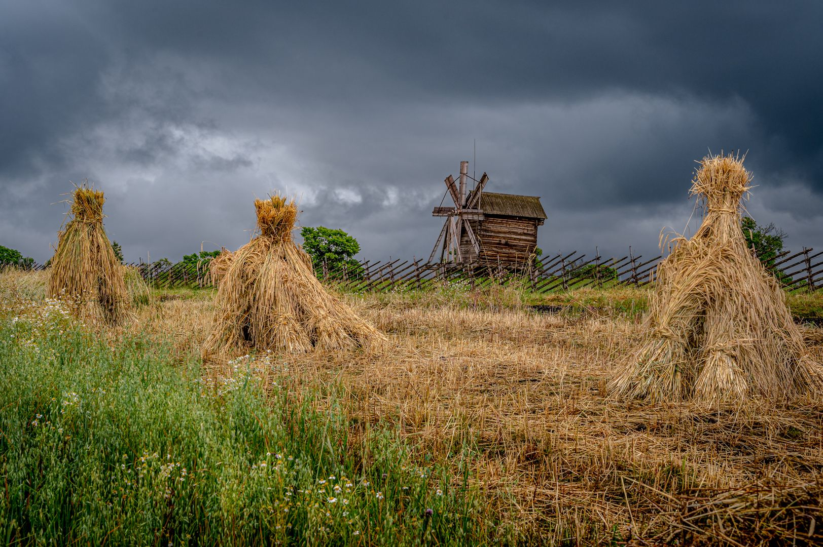 пейзаж, природа, лето, поле, Васильев Андрей