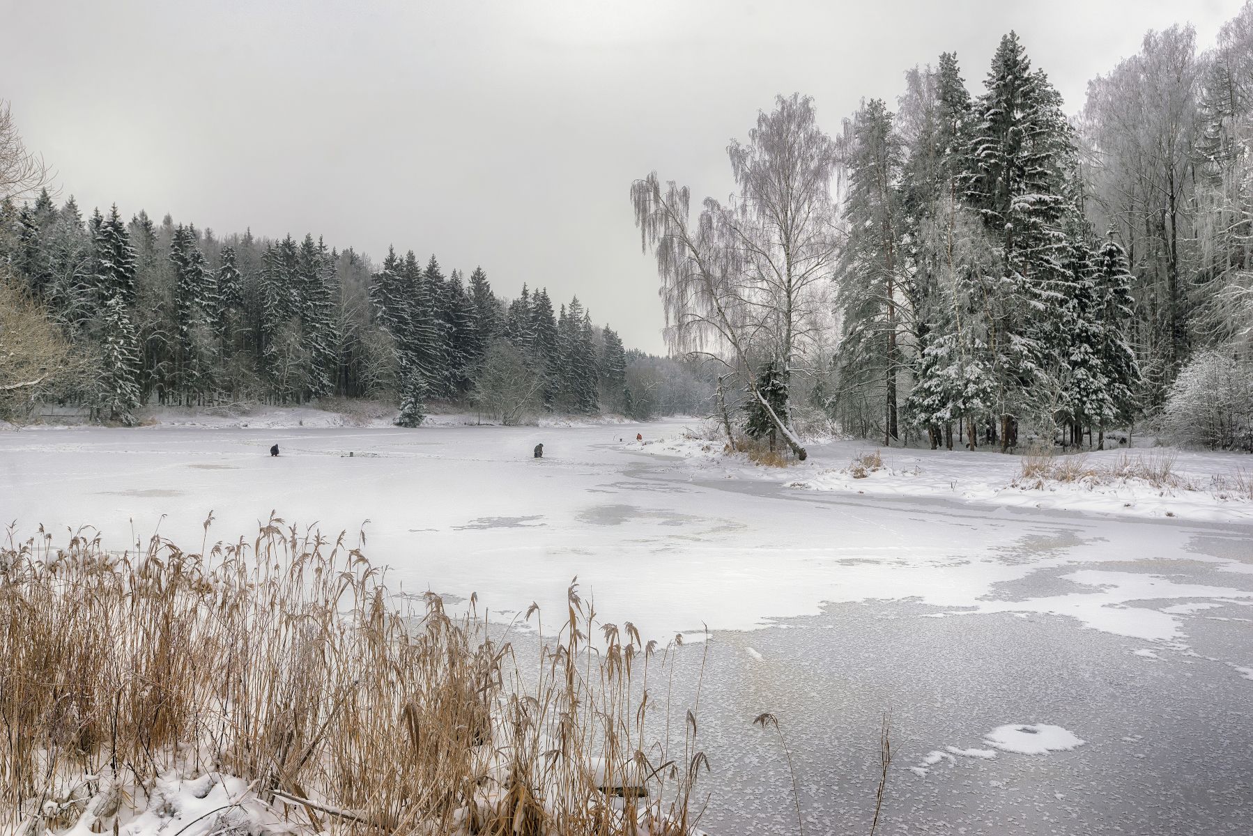 зима, рыбаки, река, лес, снег, Сергей Аникин