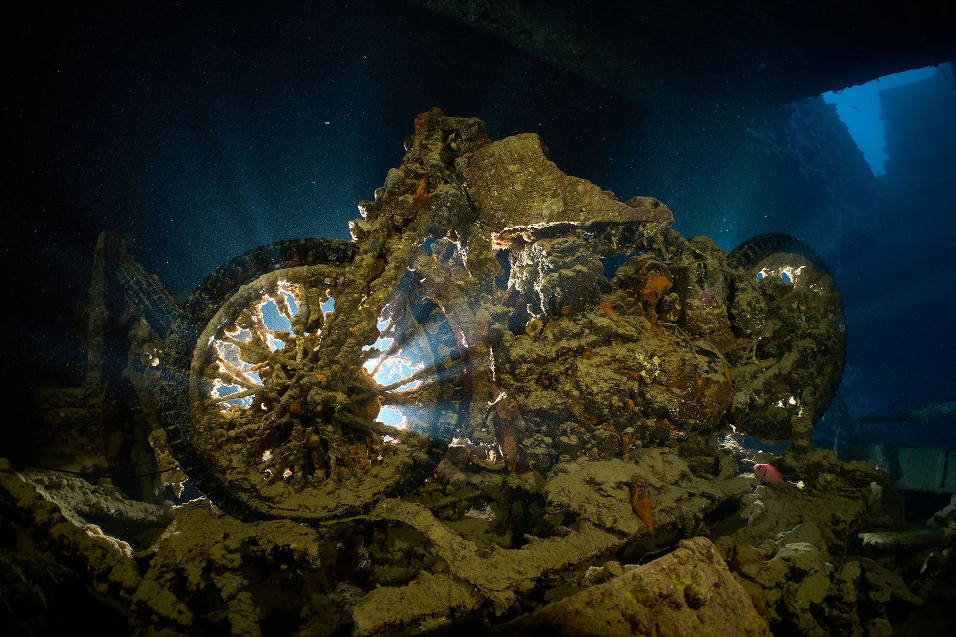 дайвинг, подводная фотосъемка, мотоцикл, рэк, тистлигорм, затонувший объект, PAVEL PEREPECHAEV