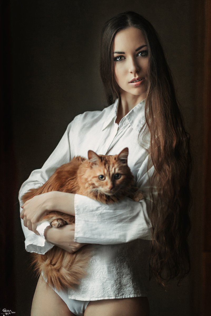 Cat, Portrait, Кошка, Портрет, Георгий Чернядьев