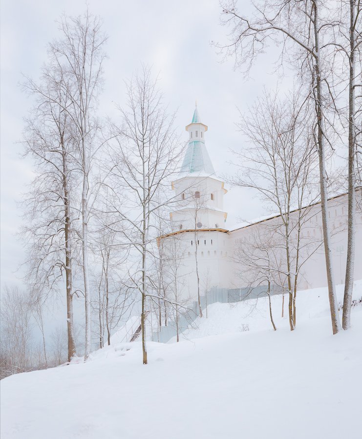 Зима, Истра, Монастырь, Новоиерусалимский монастырь, Снег, Туман, Виктор Климкин
