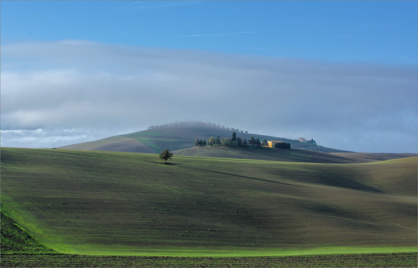 , Алексеевич