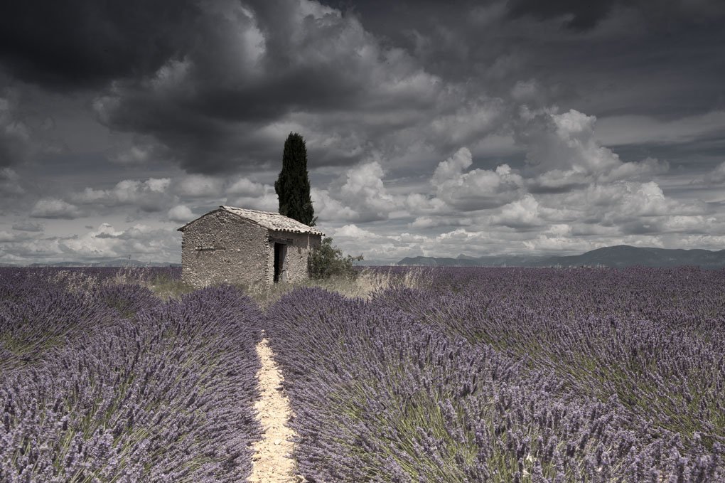 Landascape, Lavende, Lavender, Provence, Storm, Summer, Tomek Jungowski