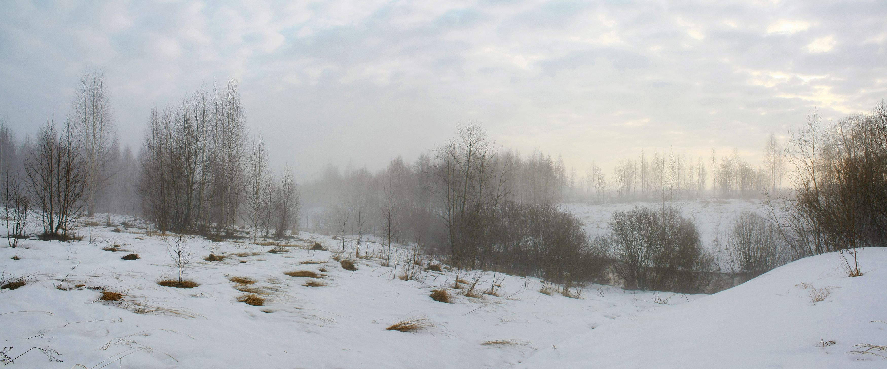 лес , весна , снег, Александр Свистков