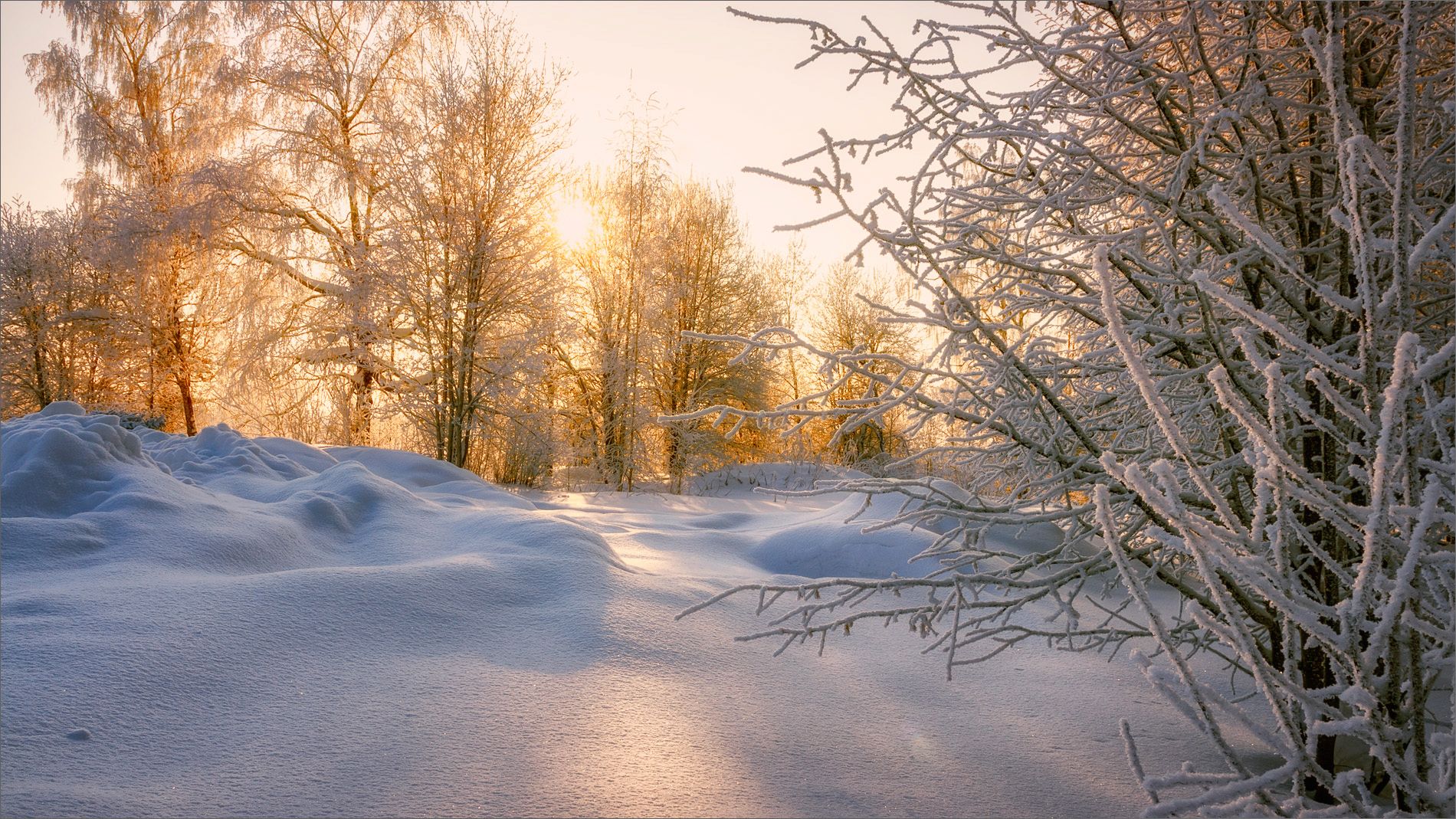 пейзаж, зима, лес, снег, утро, свет, цвет, александр никитинский, Никитинский Александр