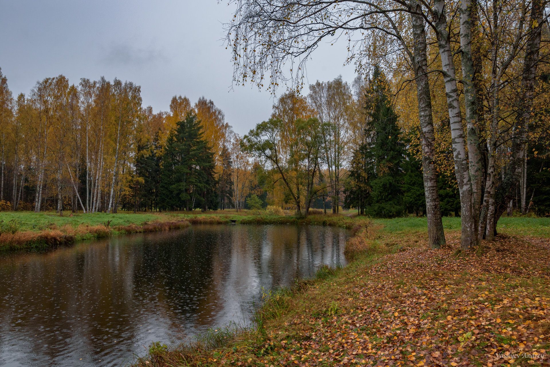 павловский парк, осень, дождь, Vasilyev Andrey