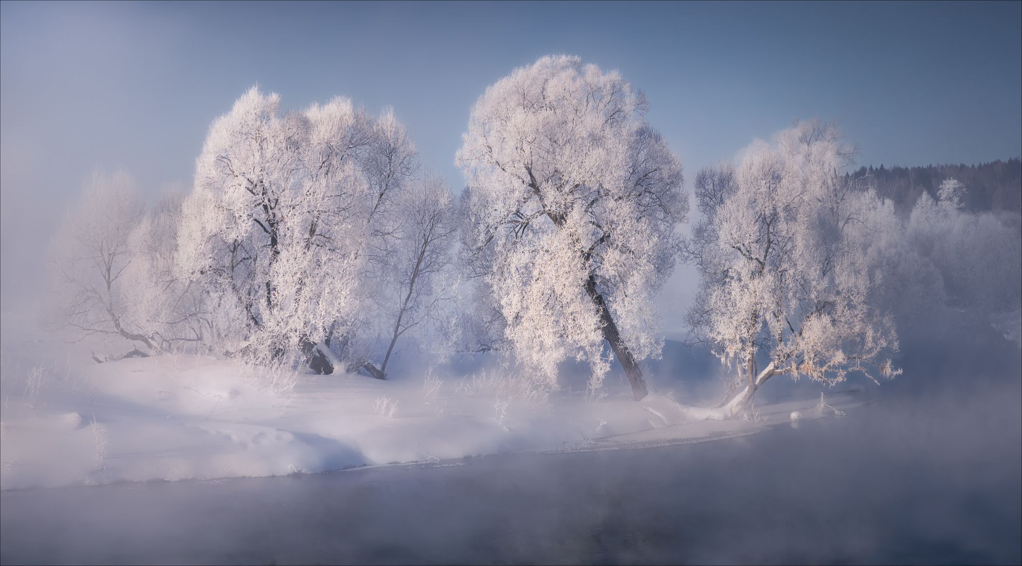 , Богорянов Алексей