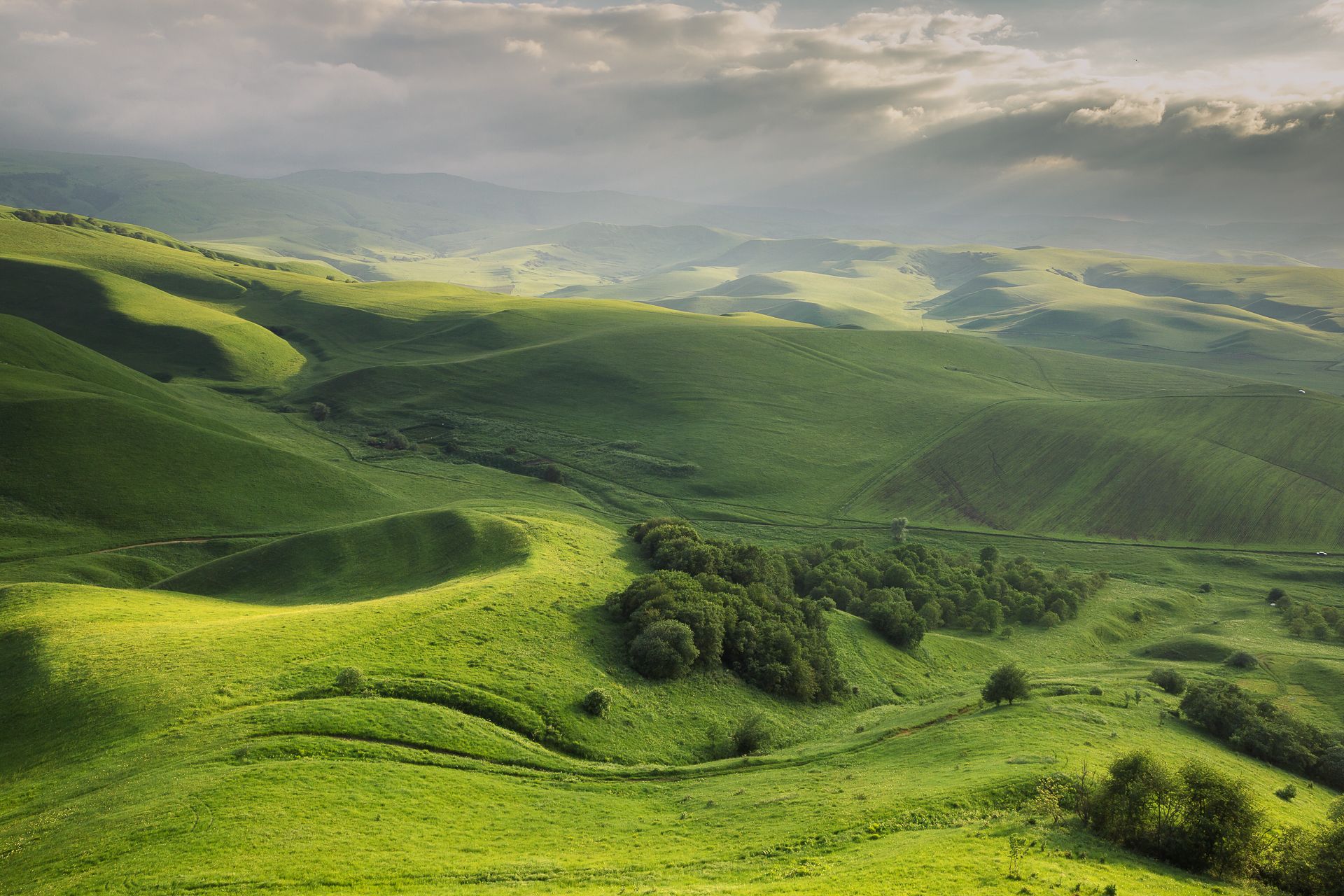 Мхи в горах КБР