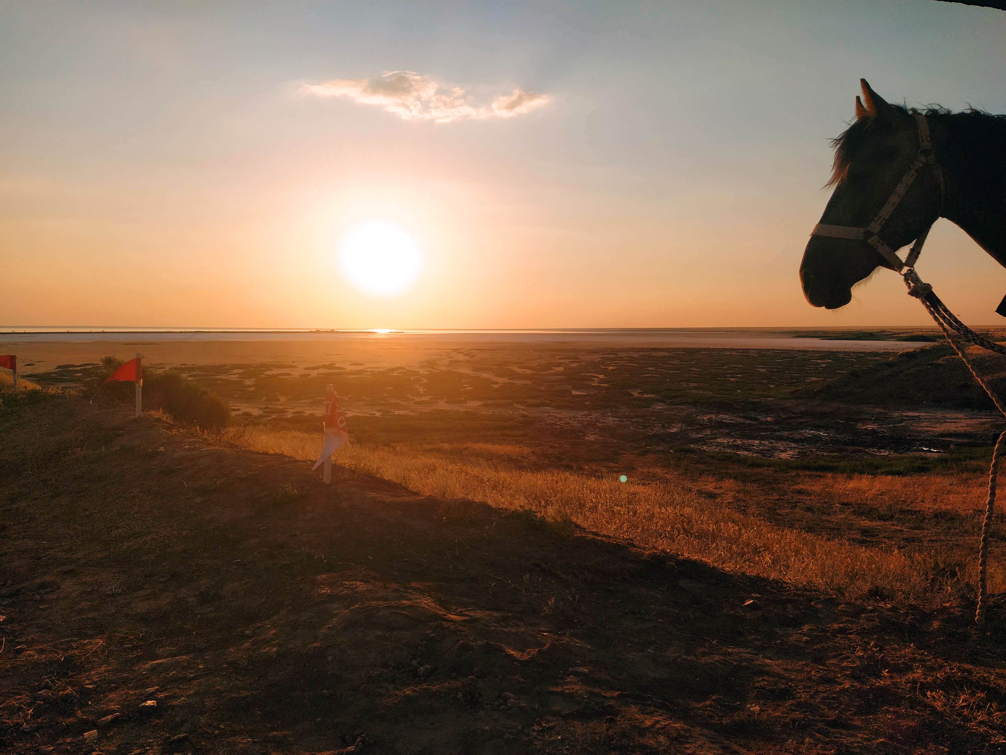 see the sunset, sunset, the horse, sun, watch the sunset, Karina Yakovleva