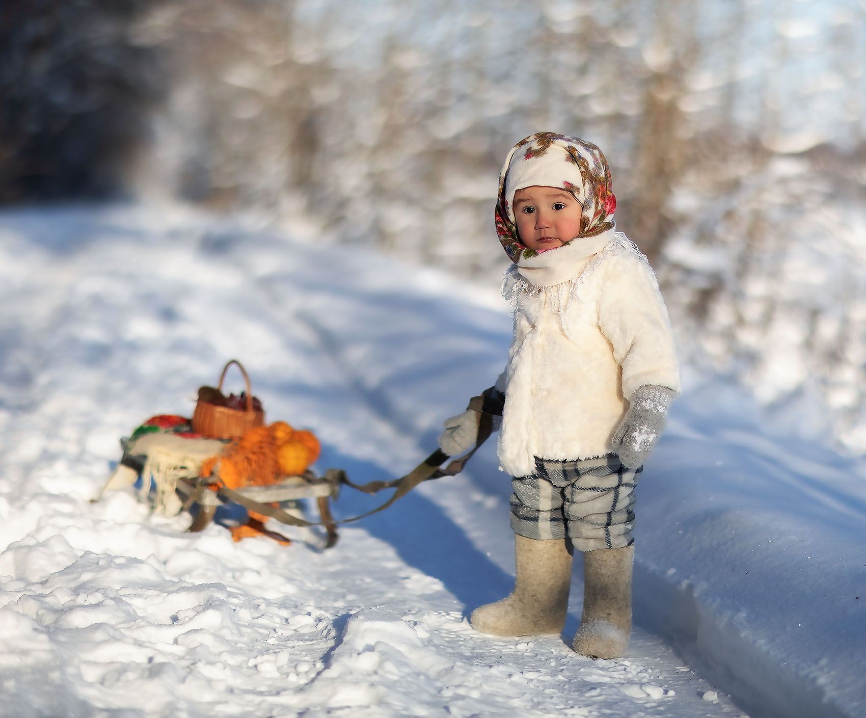 малыш, санки,зима, baby,child, sledge,winter, forest, story, Стукалова Юлия