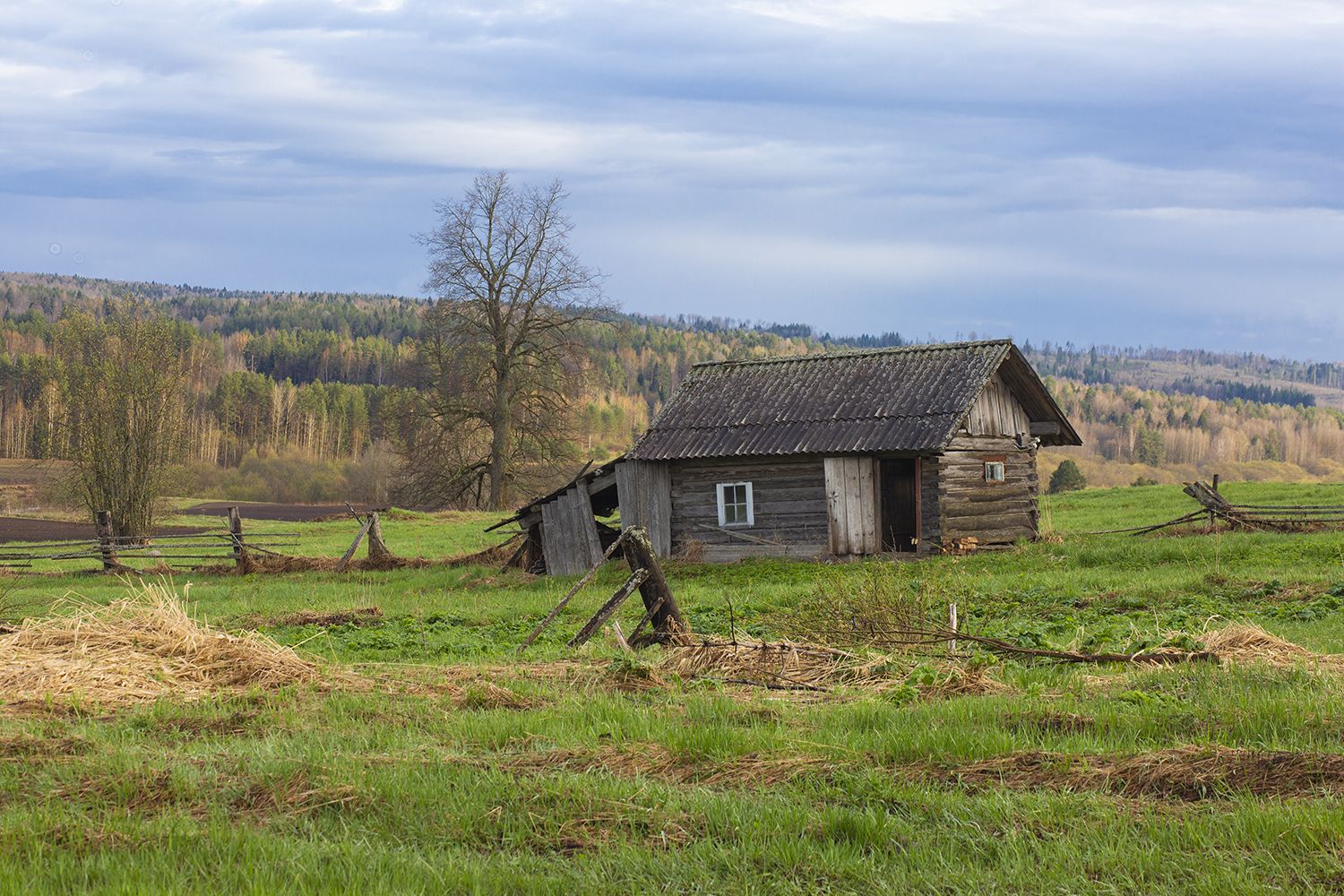 баня, деревня, пежма, вельск, Наталия Колтакова