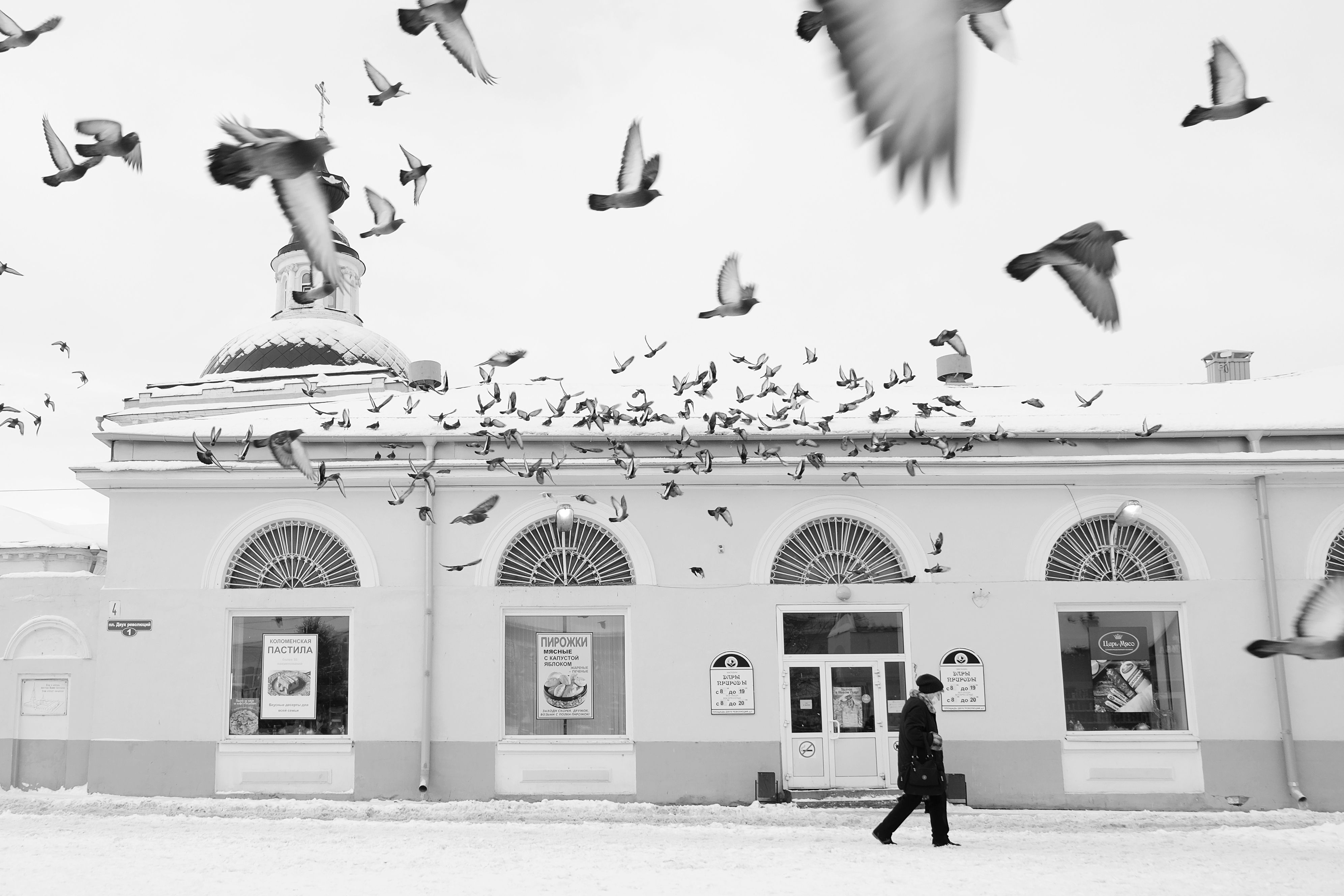 птицы , Наталья Кулемина