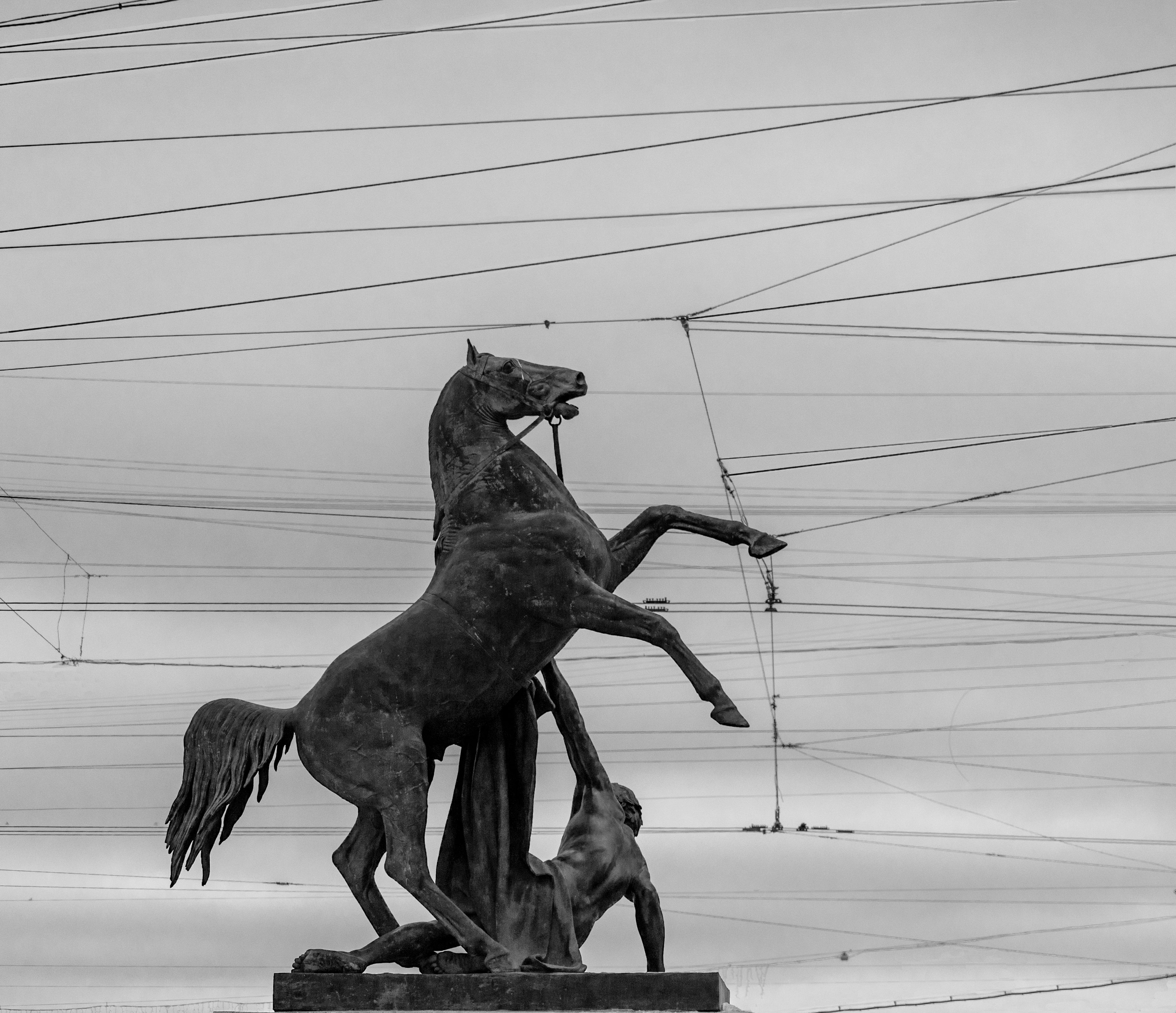 город, питер, санкт-петербург, статуя, конь, сеть, минимализм, мини, Рохмистрова Мария