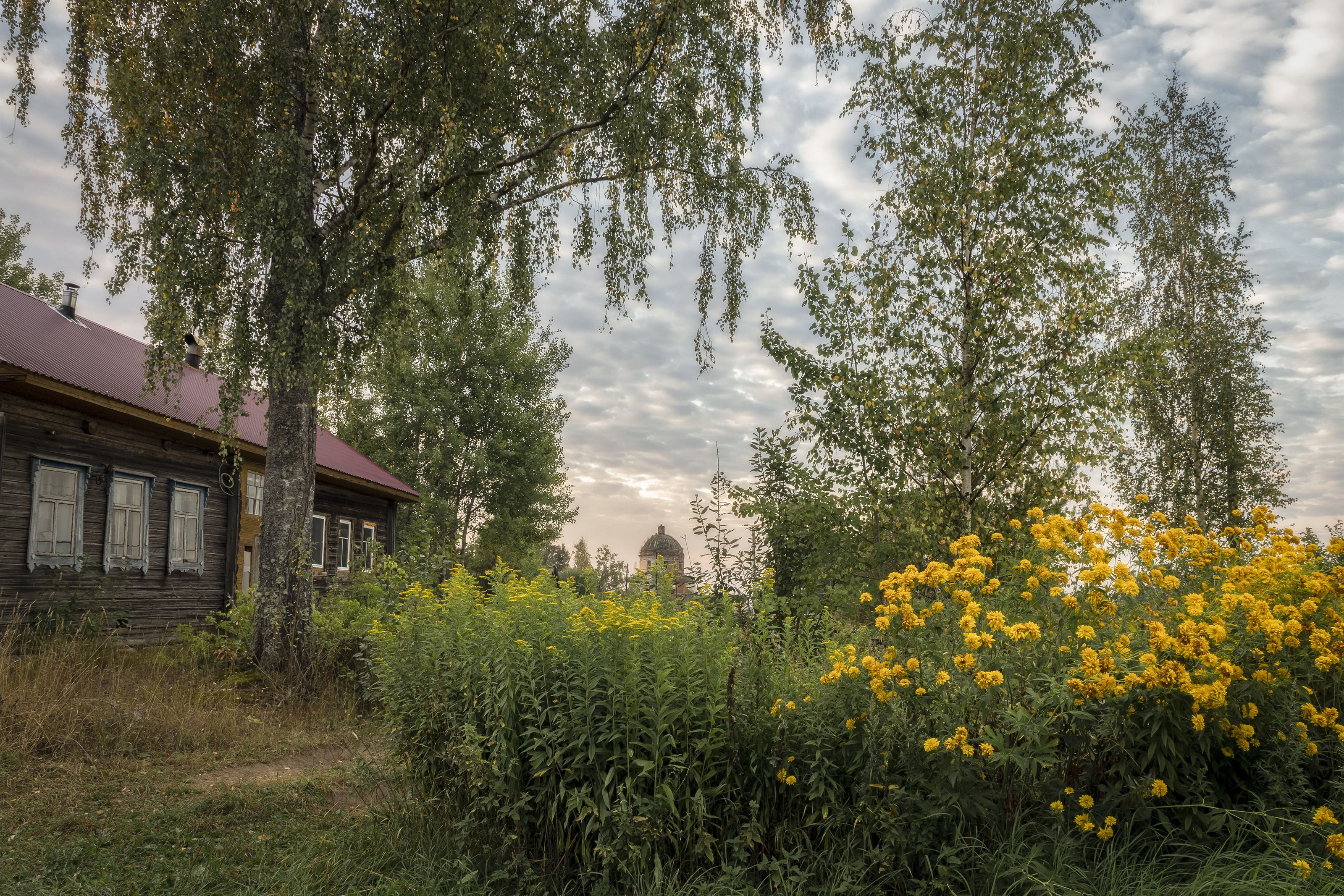 Тверская область, Гусева Елена