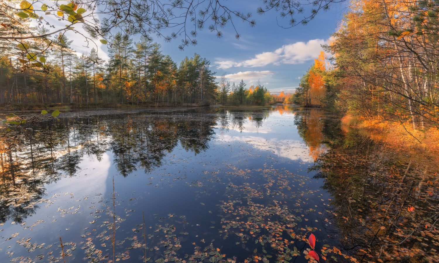 озеро осень отражение вечер облака небо листопад, Скороходов Константин