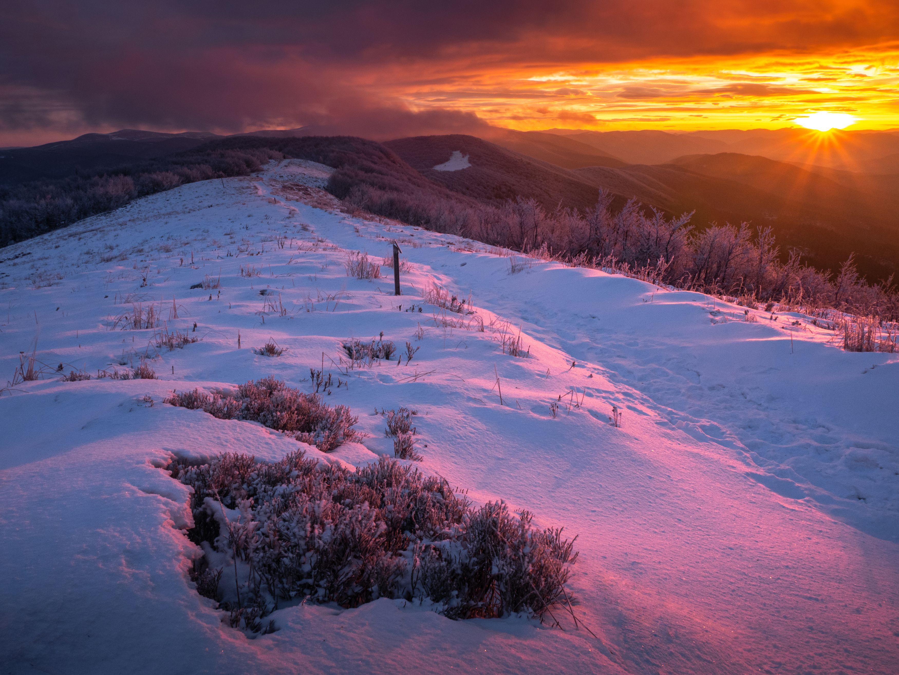 poloniny,slovakia,national park,snow,wind,cold,sunrise,sun, Slavomír Gajdoš