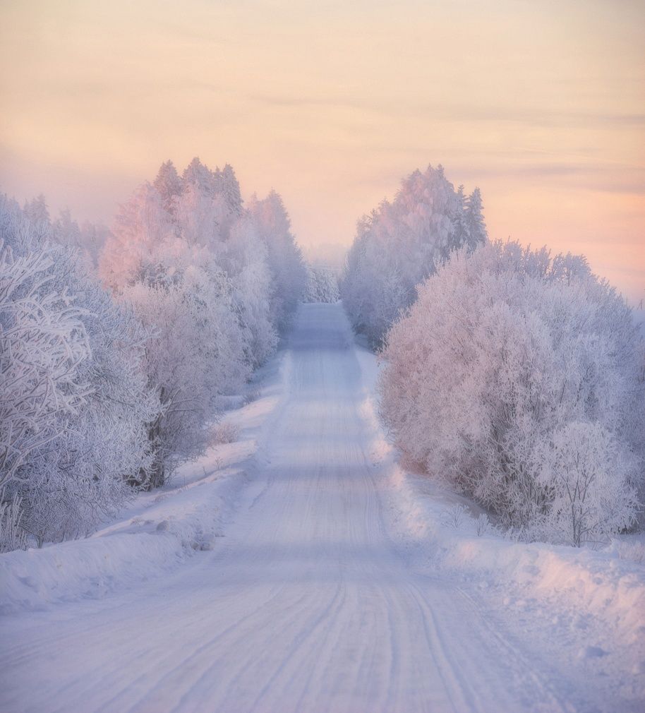 зима, мороз, дорога, снег, пейзаж, утро,  Михаил